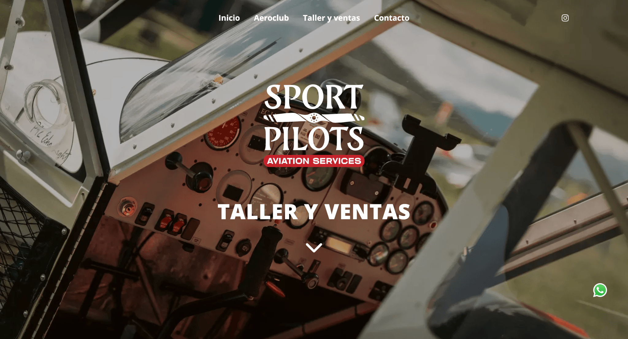 sport pilots image